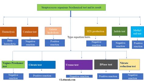 BIOCHEMICAL TESTS FOR STREPTOCOCCUS .